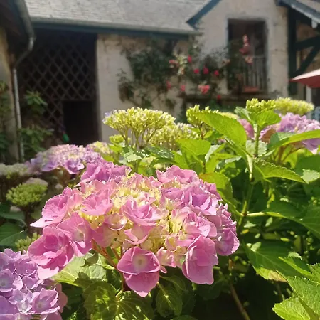 Bed & Breakfast Le Clos De Cinacle