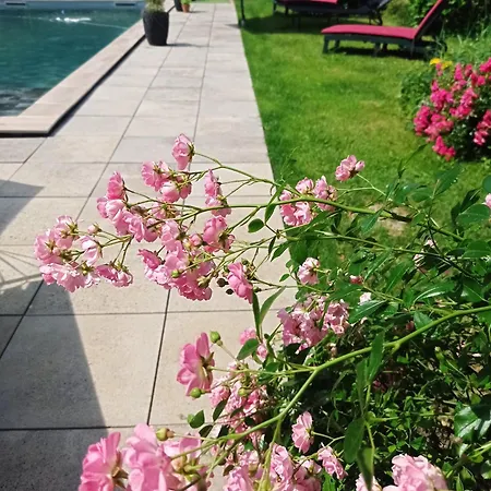 Bed & Breakfast Le Clos De Cinacle