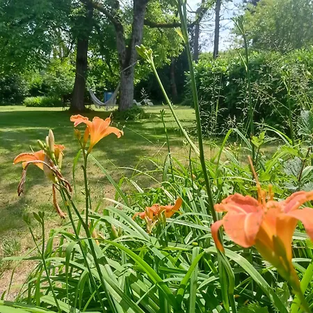 Le Clos De Cinacle Bed & Breakfast Ogeu-les-Bains
