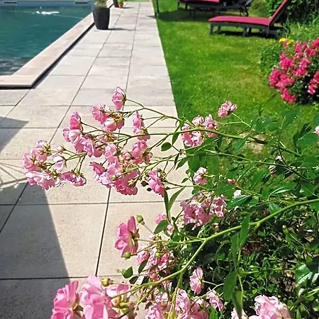 فندق مبيت وإفطار Le Clos De Cinacle