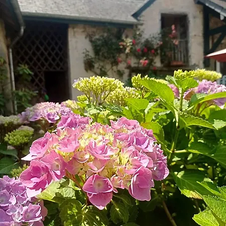 Le Clos De Cinacle 3* Ogeu-les-Bains