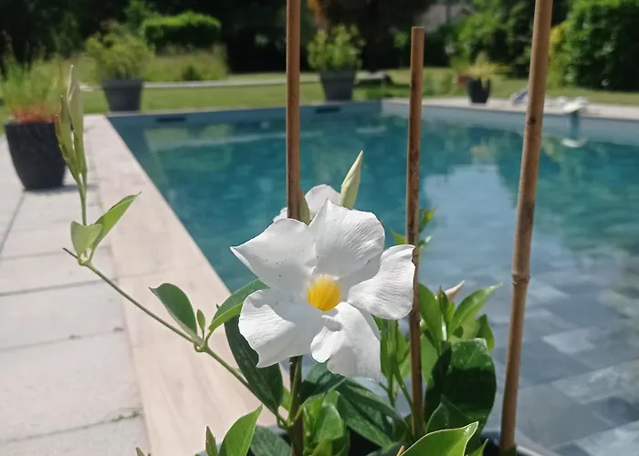 Le Clos De Cinacle 3* Ogeu-les-Bains