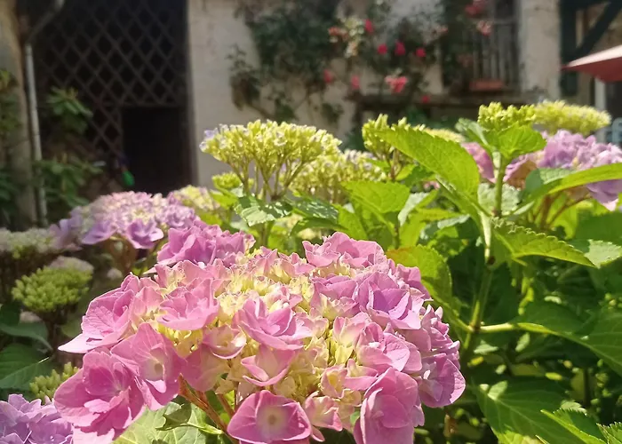 فندق مبيت وإفطار Le Clos De Cinacle