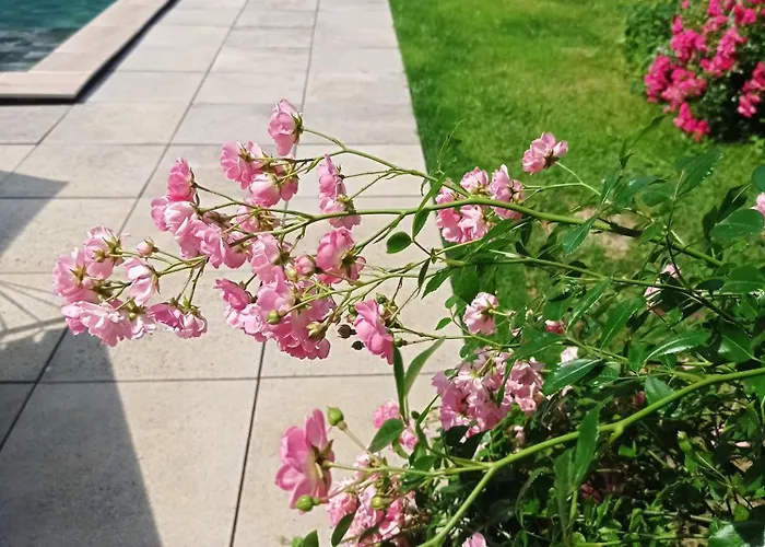 فندق مبيت وإفطار Le Clos De Cinacle