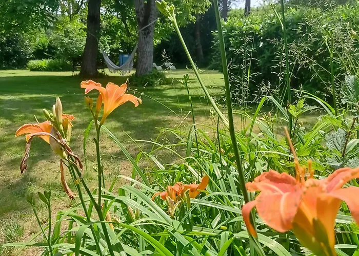 Le Clos De Cinacle فندق مبيت وإفطار Ogeu-les-Bains